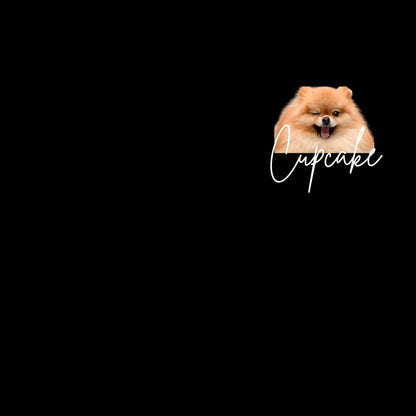 HK_E_pets3