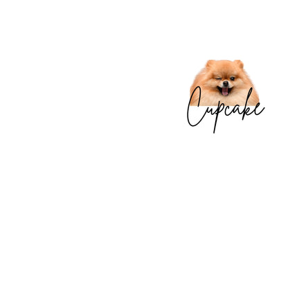 HK_E_pets3
